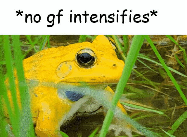 Froggos '23 #32 - The Feels Return