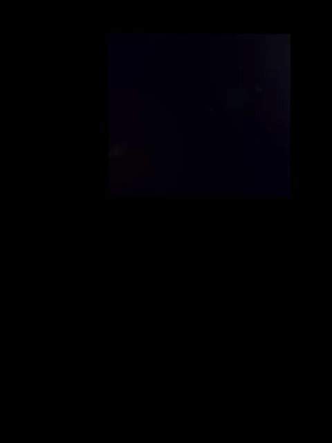 Have a Terry New Year!