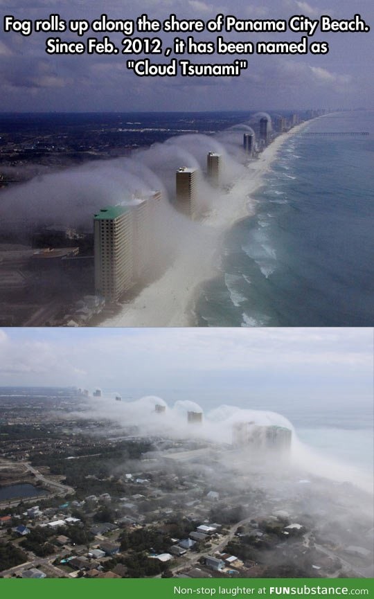 Shore of Panama City Beach