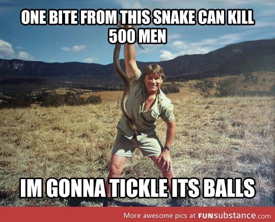 The Steve Irwin philosophy