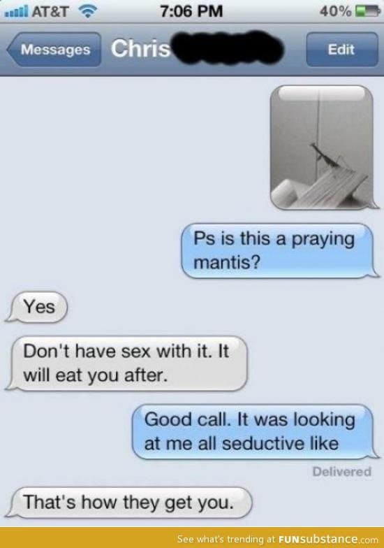 Mantis will eat you after s*x