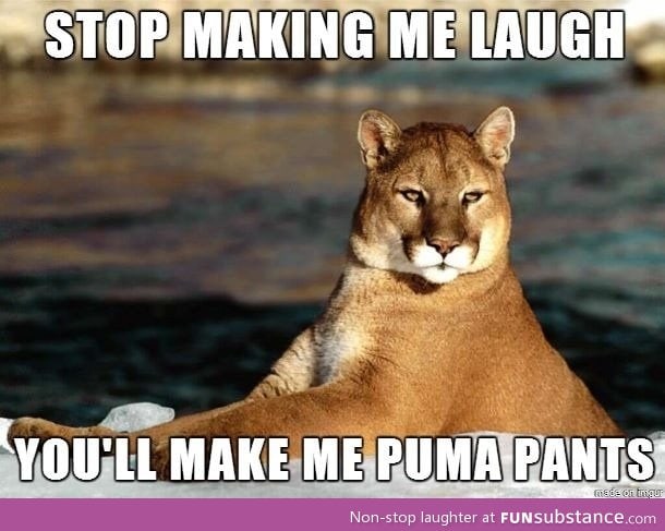 Puma pun