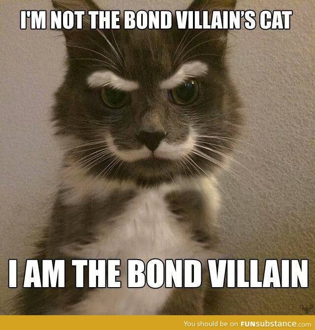 The Bond Villain