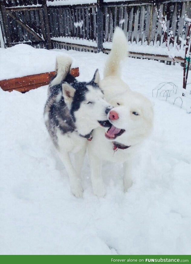 Snow Kiss