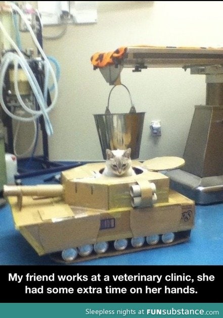 Cat tank