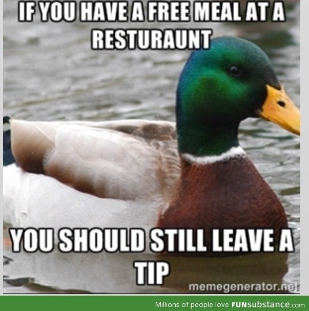 Actual advice mallard