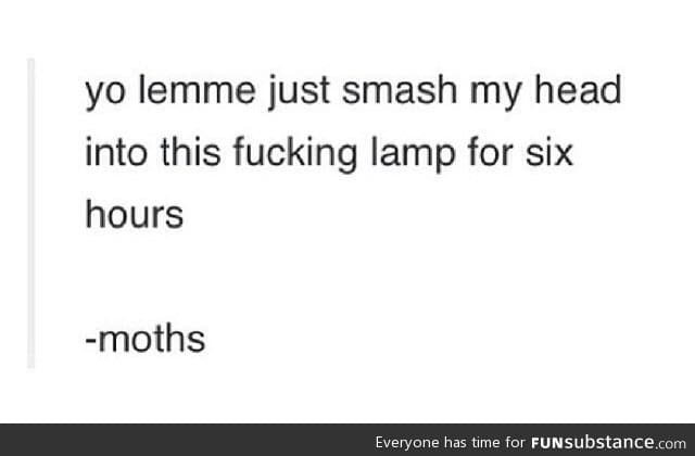 Moths