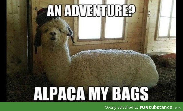 Don't be a-llama-d, the fun is in the pun