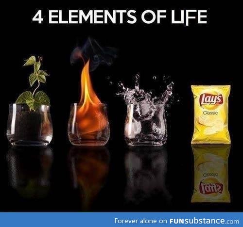 elements of life