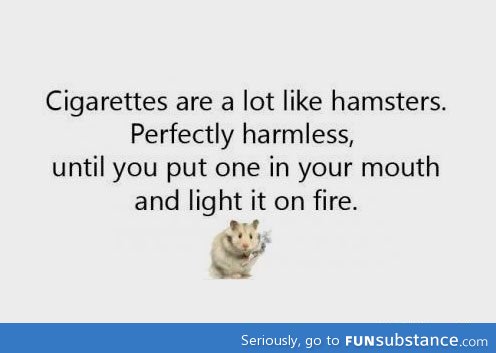 Cigarettes are like hamsters