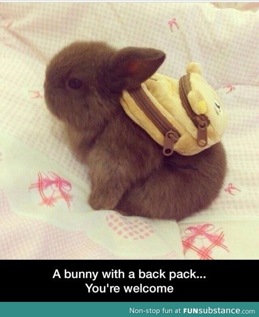 Bunny backpack