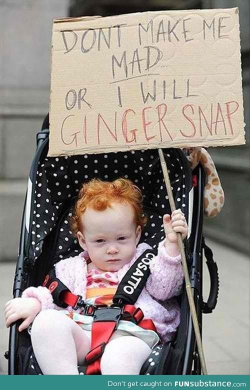 Gingersnaps.