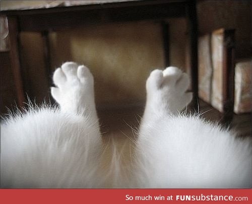 My legs in the Winter