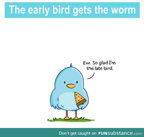 The early bird