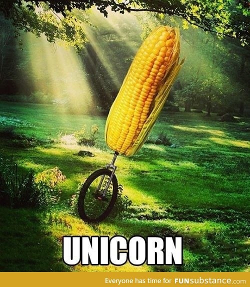 Unicorn