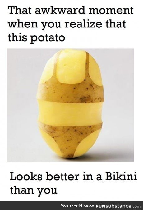 Potato is better than everything