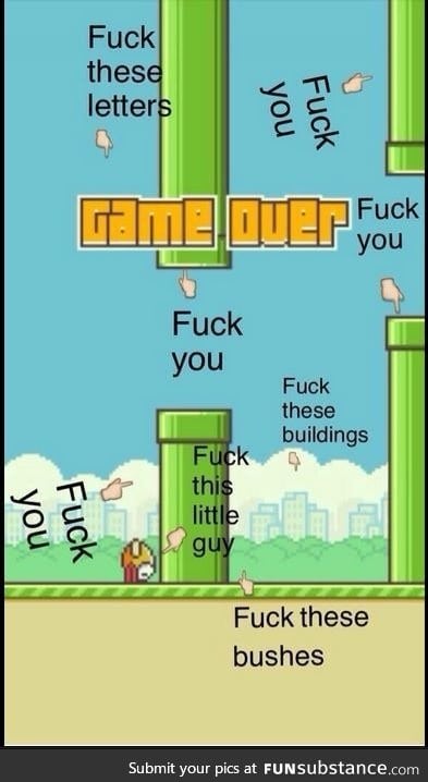 Duck you, Flappy Bird!