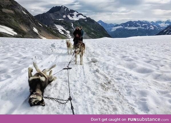 Your typical alaskan flat tire