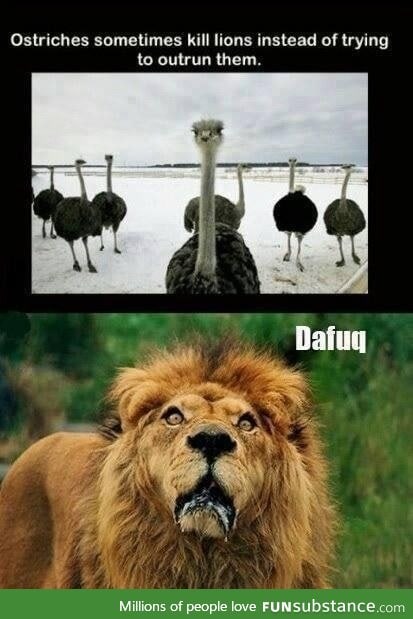 "I AINT F*CKIN AROUND TODAY SIMBA"-Ostrich