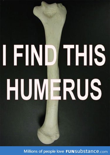 What A Funny Bone...