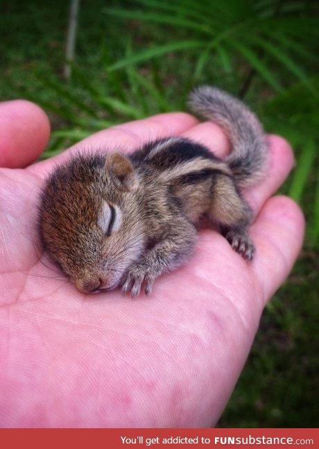 Sleeping cutie