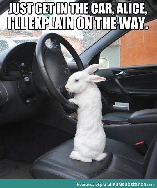 Hop in the car