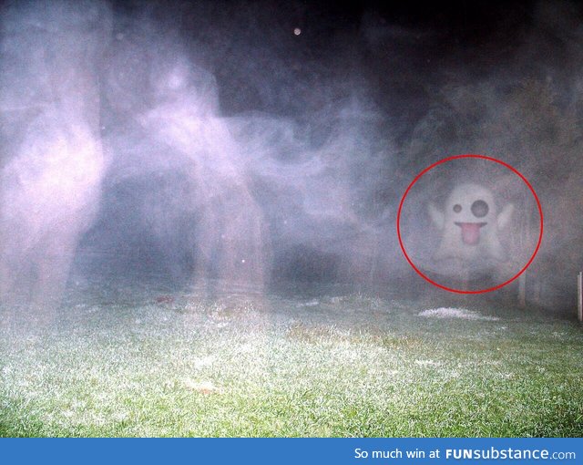 Real ghost sighting