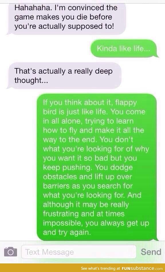 Someone went pretty deep into flappy bird