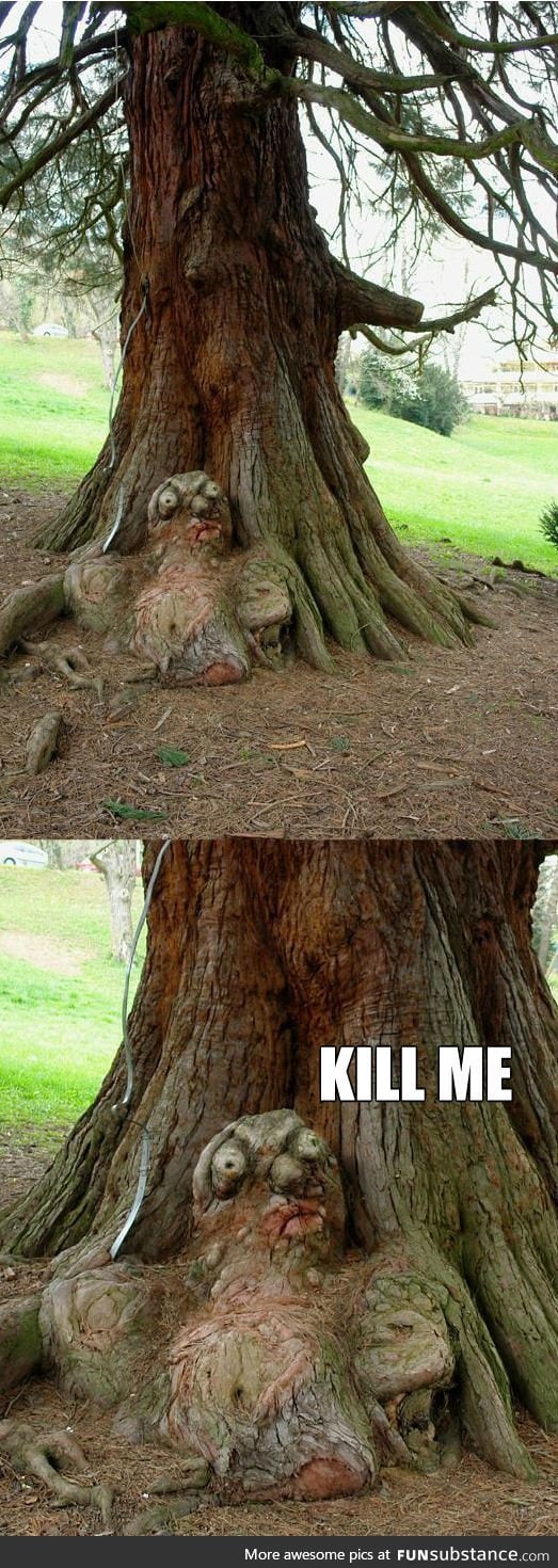 Mutant tree