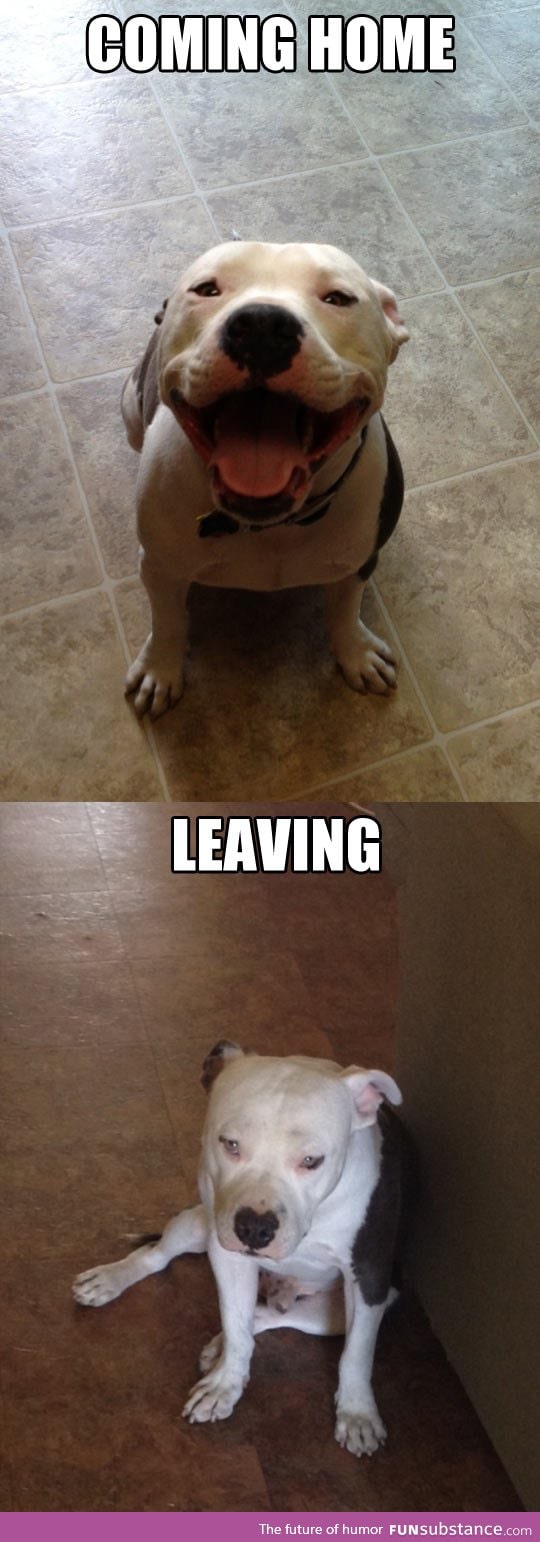 Coming home vs. Leaving