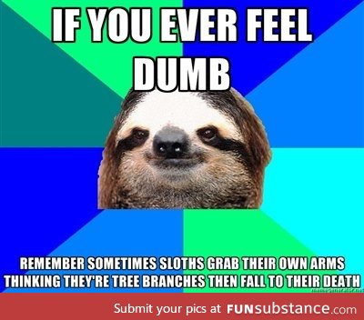 If you ever feel dumb.