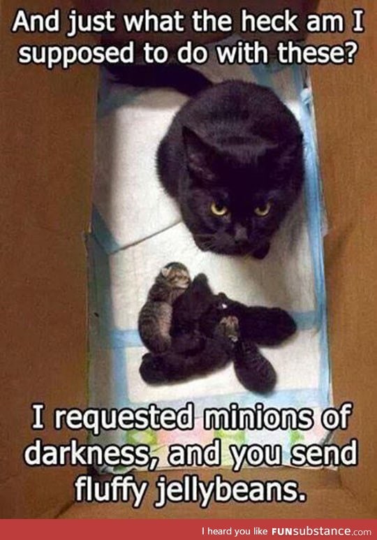 Minions of darkness