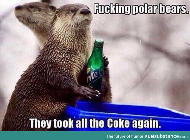 f*cking polar bears