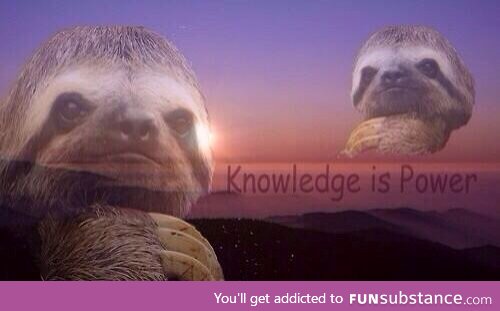 *studies for 2 minutes*