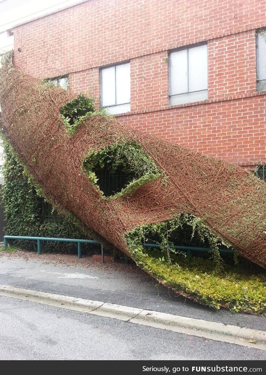 A building shedding like a snake