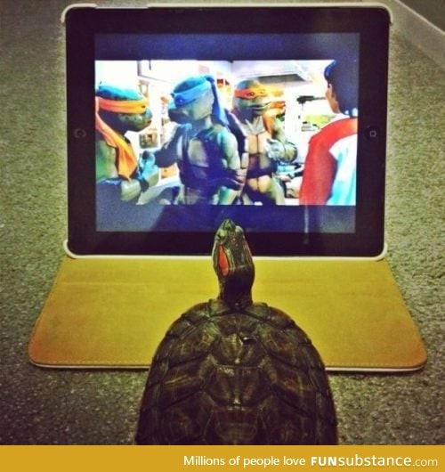 TMNT wanna be