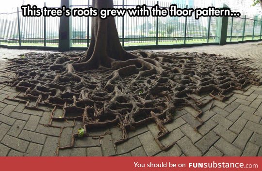 Square roots