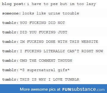 Tumblr in a nutshell