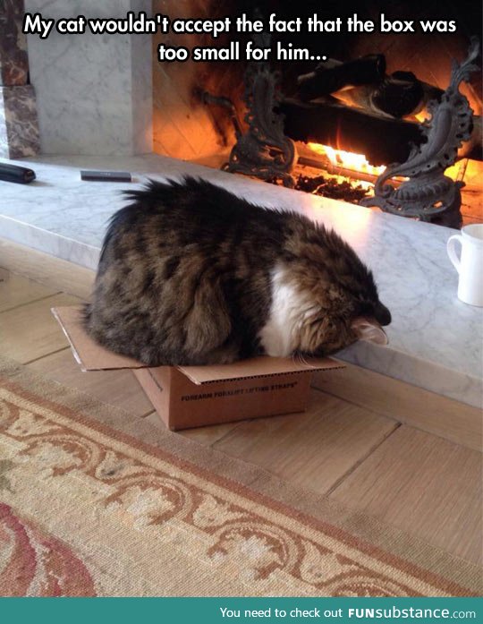 Doesn't fit, still sits