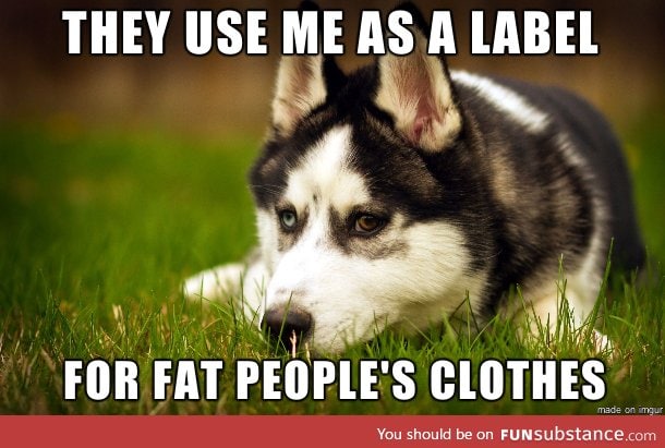 Poor huskies,