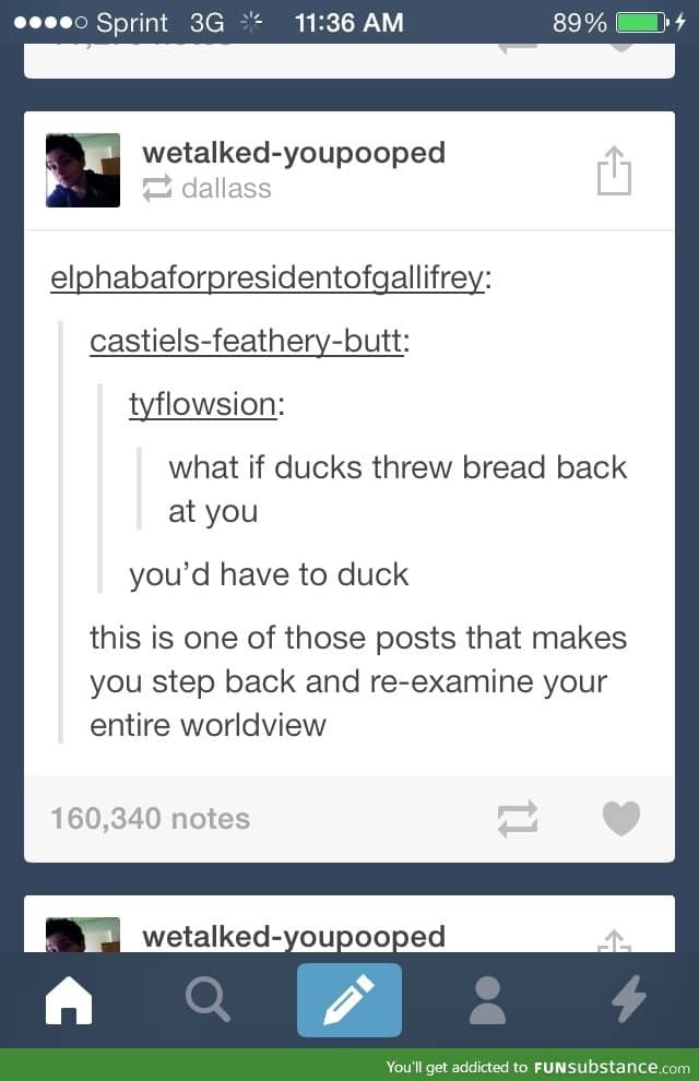 What if ducks threw bread back