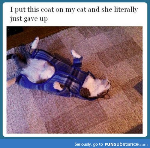 Cat and coat