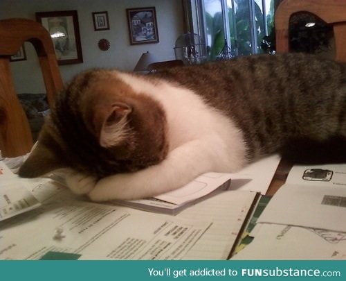 Me when I do homework