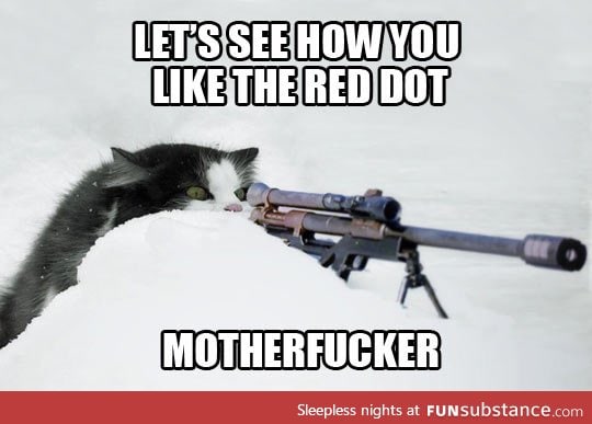 Sniper cat