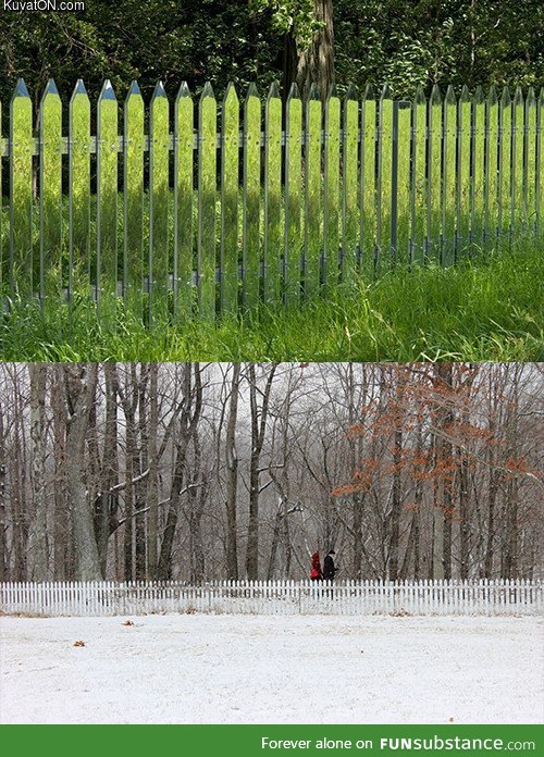 Mirrored fencing