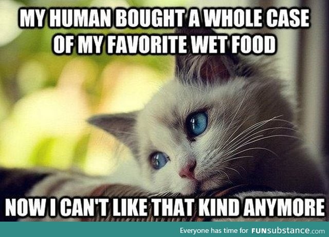 First world cat problems