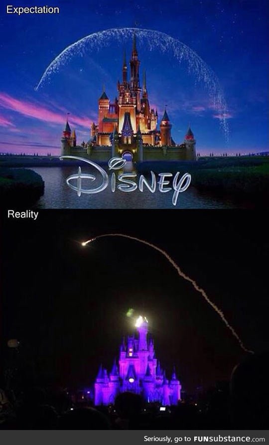 Disney expectations