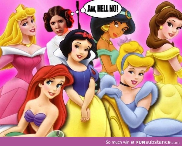 Disney Princess Le-