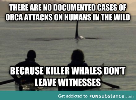 Killer whales