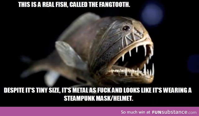 Steampunk fish